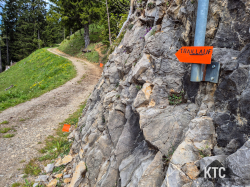 2025-05-17 Bizau Trail - 20250517_103423